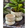 tag Meadow Planter Small - 2 of 2