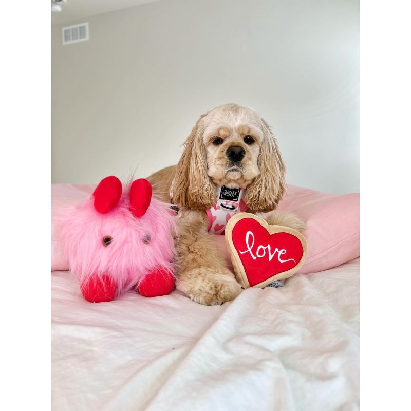 Midlee Love Bug Valentine's Day Dog Toy, 5 of 10