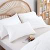 BAGOKIE 300GSM Fluffy Microfiber Bedding Set 2/3 Piece Comforter Set with Matching Pillowcase - 2 of 4