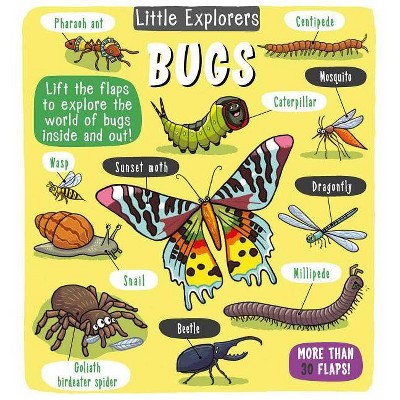 Little Explorers: Bugs - by  Little Bee Books (Hardcover)