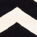 ivory / black