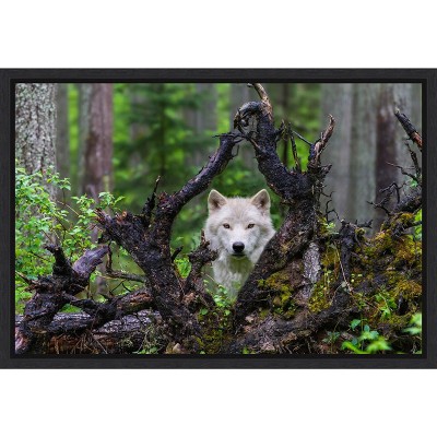 Amanti Art Wolf by Mike Centioli Canvas Wall Art Print Framed 23 x 16-in.