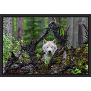 Amanti Art Wolf by Mike Centioli Canvas Wall Art Print Framed 23 x 16-in. - 1 of 4