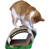 Imperial Cat Scratch 'n Shapes Football (2-in-1) Scratcher - 3 of 4