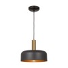 Artcraft Lighting Orsa 1 - Light Pendant in  Black/Brushed Brass - 2 of 4