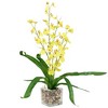 Northlight 23.5" Dancing Lady Orchid Silk Flower Artificial Potted Plant - Yellow - 3 of 4