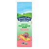 Stonyfield Organic Strawbana Smash Kids' Dairy Free Smoothie - 4ct/3.2oz Pouches - 4 of 4