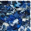Rio Shag SG951 Hand Woven Indoor Rugs - Safavieh - 4 of 4