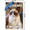 Trends International Grumpy Cat - Fun Framed Wall Poster Prints - 3 of 4