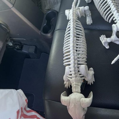 Guest review image 2 of 2, zoom in