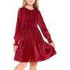 Arshiner Girls Long Sleeve Dress Velvet Crew Neck Midi Fall Vintage Plain Dress for Kids - 3 of 4