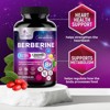 Premium Berberine HCL 1200mg Supplement - Berberine HCI Capsules High Absorption Supplement for Heart Health & Immune Support - 60 Capsules - 4 of 4