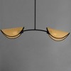 Maxim Lighting Bonnet 2 - Light Pendant in  Black - 3 of 3