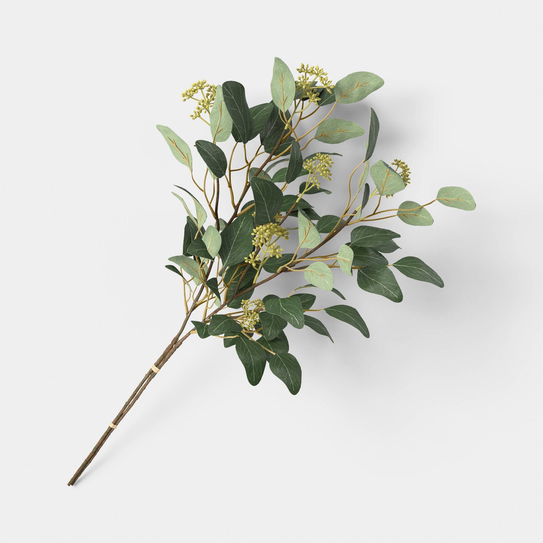 27" Seeded Willow Eucalyptus Stem - Threshold™