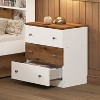 Bella Depot 3-Drawer Wooden Nightstand with Colorblock Design - 2 of 4