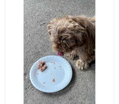 Guest review image 1 of 1, zoom in