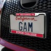 Ripon College Mascot Full Size Standard License Plate Metal Frame - 3 of 4