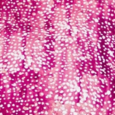 raspberry burst