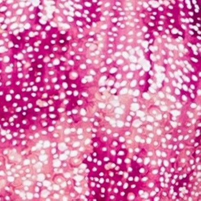 raspberry burst
