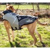 Dog Helios (R) Lotus-Rusher 2-in-1 Dual-Removable Layered Performance Dog Jacket - 4 of 4
