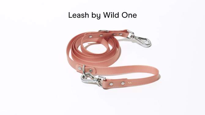 Wild One Water Dirt Resistant & Adjustable Dog Leash, 2 of 9, play video