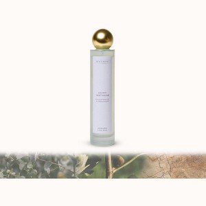 Benevolence LA Sun Kissed - Pacific Driftwood Room Spray - 1 of 4