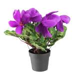 Northlight 12" Purple Potted Artificial Cyclamen Floral Arrangement