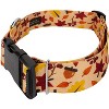 Country Brook Petz 1 1/2 Inch Deluxe Dog Collar - Awesome Autumn Collection - 2 of 4