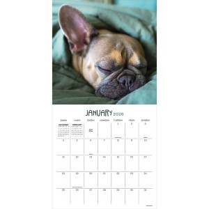 TF Publishing 13.5"x14.5" 2026 Dog Dreams Wall Calendar - 1 of 4