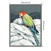 Amanti Art Animal Watercolor Art Bird Sleeping Parrot by Justyna Jaszke Framed Canvas Wall Art - 3 of 4