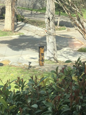 Guest review image 1 of 1, zoom in