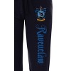 Harry Potter Men's Hogwarts Castle School House Crest Pajama Pants - 5 Styles - 2 of 3