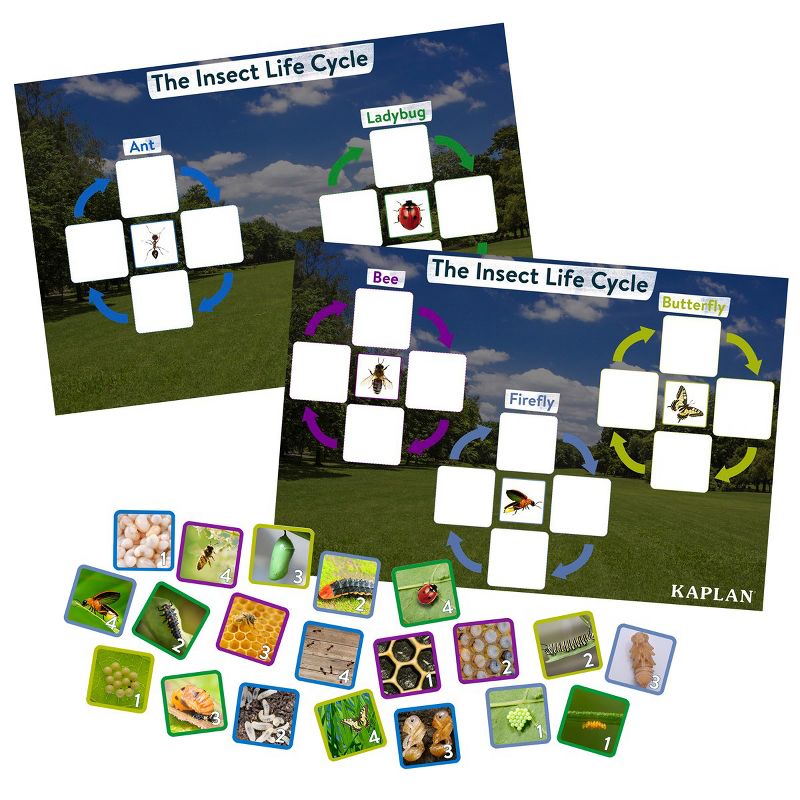 Kaplan Early Learning Insect Life Cycle Game - Investigate Bees, Ants, Butterfly and Firefly, 1 of 4