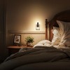 DORESshop 1-Watt Plug-in Integrated LED Modern Night Light with Dusk-to-Dawn, Crushed Stone Acrylic Amber 3000K Black 2-Pack - 4 of 4