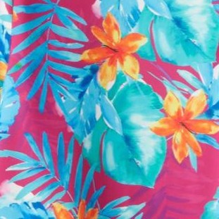 hula palm