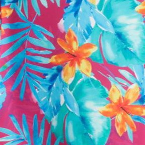 hula palm