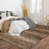 Area Rugs for Living Room Machine Washable Rug Distressed Indoor Carpet - 2 of 4