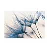 PhotoINC Studio 'Mystic Blue' Canvas Art - 2 of 3