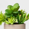 5" Potted Succulent - Threshold™ - 3 of 4