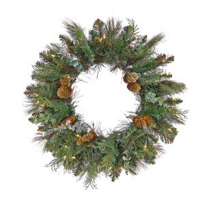 24" Prelit LED Flocked North Conway Artificial Christmas Wreath with Pinecones Warm White Lights - National Tree Company - 1 of 4