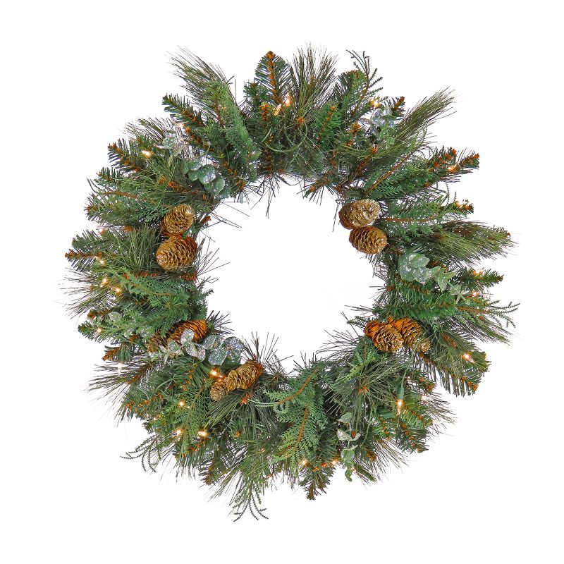 National Tree Company First Traditions Pre-Lit North Conway Christmas Wreath with Pinecones and Frost, Warm White LED Lights, Battery Powered, 24 in, 1 of 5