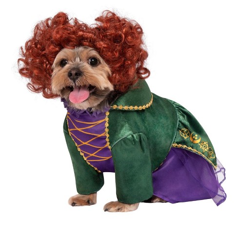 Disney Dog Costumes for Halloween - Highlights Along the Way