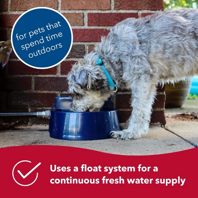Navy Automatic Outdoor Pet Water Dispenser Bowl