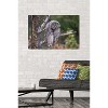Trends International The Comedy Wildlife Photography Awards: John Blumenkamp - Monday Blahs Unframed Wall Poster Prints - 2 of 4