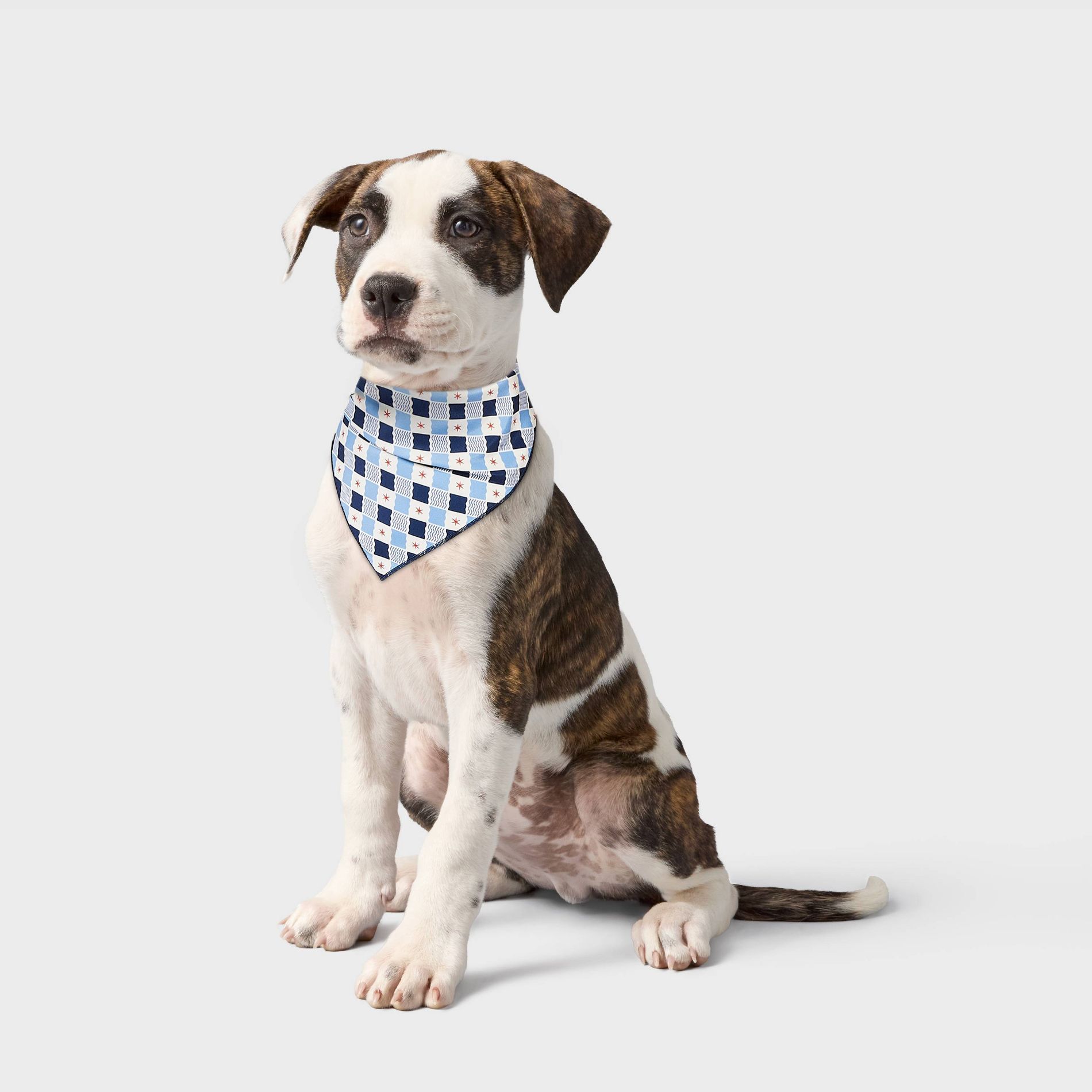 Americana Dog Bandana - Boots & Barkley™