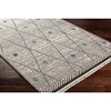 Mark & Day Coon Valley Woven Indoor Area Rugs - 4 of 4