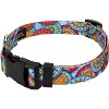Country Brook Petz Deluxe Dog Collar - Groovy Collection - 4 of 4