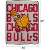 NBA Chicago Bulls 60"x80" Cartoon Basketball Ultra Cozy Blanket - 3 of 3