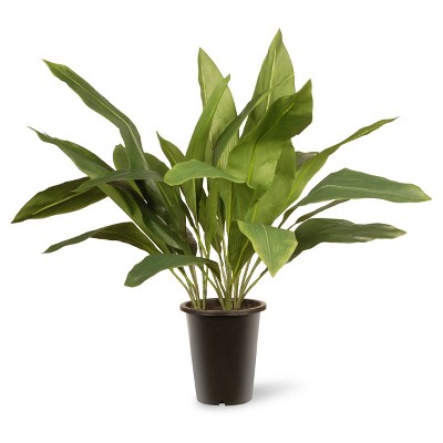 30" Garden Accents Artificial Aspidistra Plant - National Tree Company