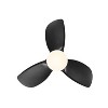 BestParts 28-inch Ceiling Fan, Lighted Ceiling Fan, Remote Control, 6 Speeds, 3 Color Temperatures, for Small Indoor Rooms - 3 of 4